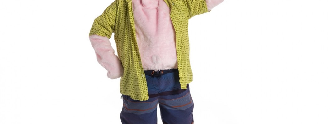 Famous Personalities Who Have Worn People Mascot Costumes