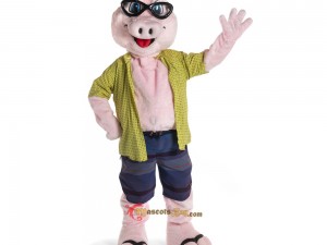 Famous Personalities Who Have Worn People Mascot Costumes