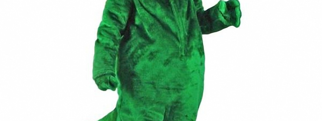 Tips for Customizing Your Own Unique Mouse Mascot Costume