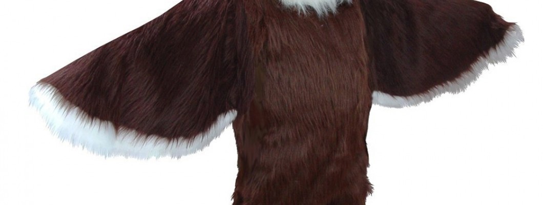Custom Eagle Mascot Costumes: Adding a Personal Touch