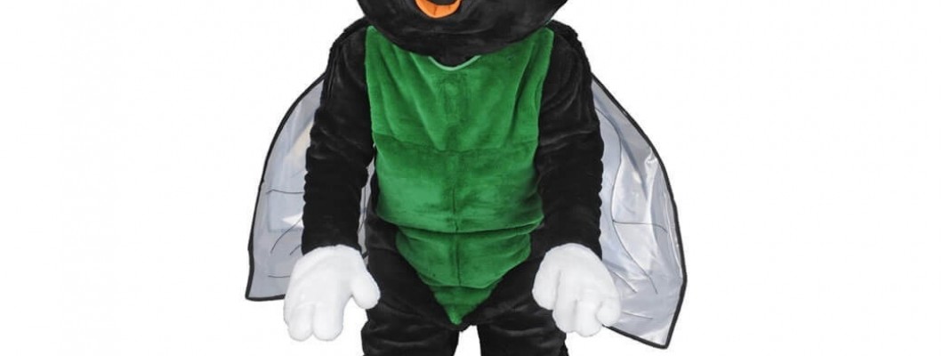 Top 10 Adorable Animal Mascot Costumes for Kids