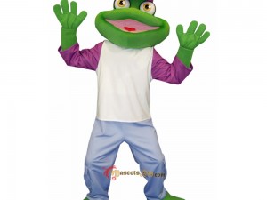 Case Studies: Successful School Mascot Costume Implementations