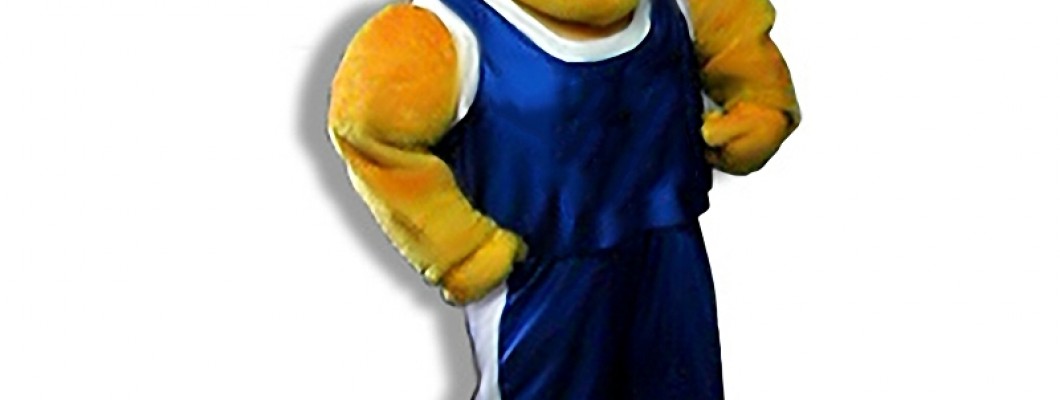 How to Make Your Own Cat Mascot Costume: A Step-by-Step Guide