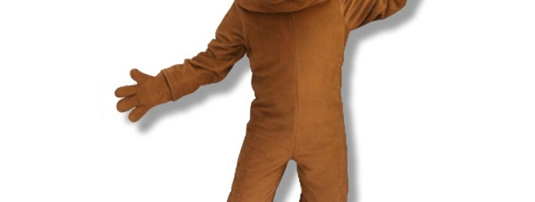 How to Collaborate with Designers for the Perfect Custom Mascot Costume