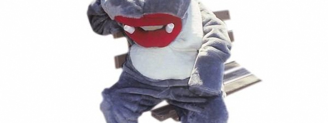 Seasonal Variations: Winter and Summer Pig Mascot Costumes