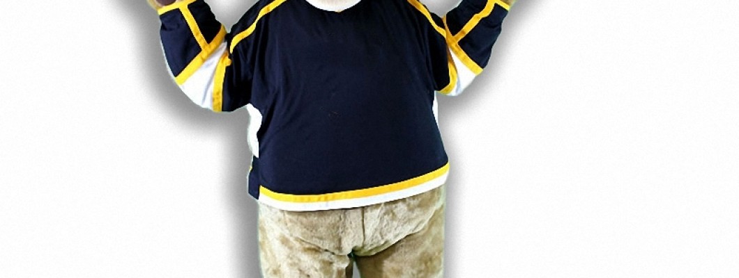 Duck Mascot Costumes: Not Just for Humans Anymore!