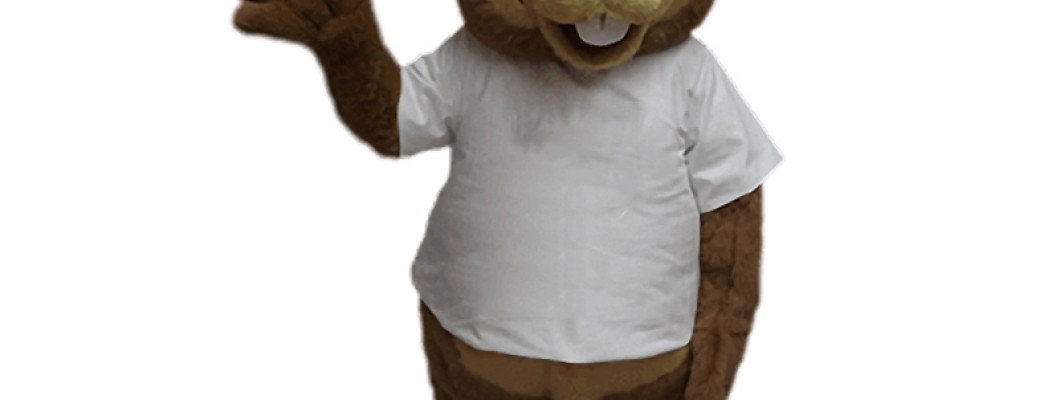 Pig Mascot Costume Contests: Showcasing Creativity