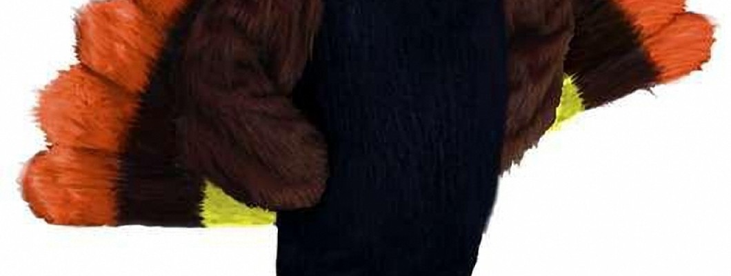 People Mascot Costumes: A History and Cultural Impact