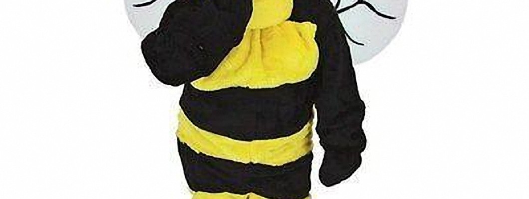 Factors to Consider When Buying a Mascot Costume