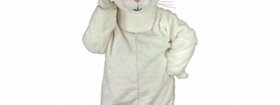 The Role of School Mascot Costumes in Sports Events