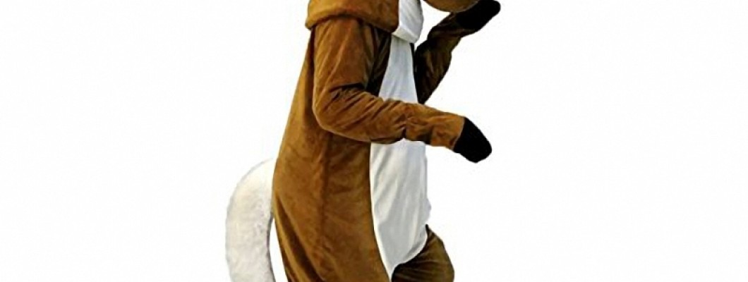 The Psychology Behind Cat Mascot Costumes in Marketing