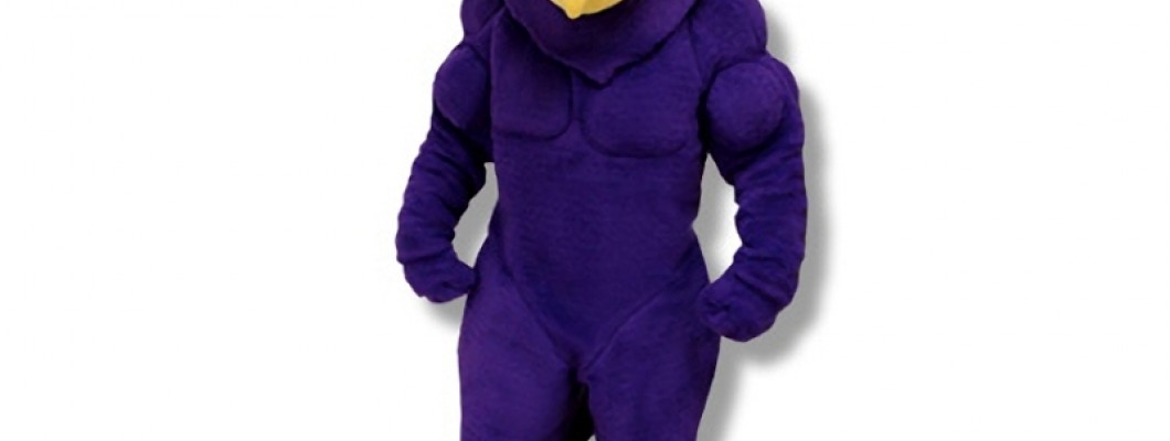The Environmental Impact of Monkey Mascot Costume Production and Disposal