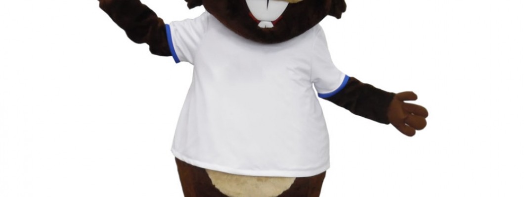 The Best Online Tutorials for Learning to Make Animal Mascot Costumes at Home