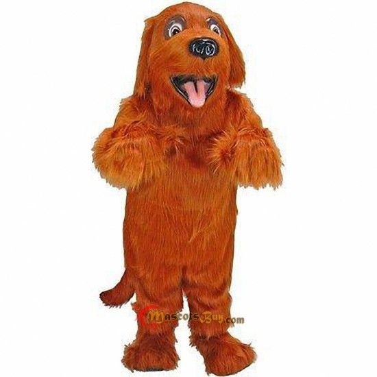 Irish Setter Mascot Costume Cosplay