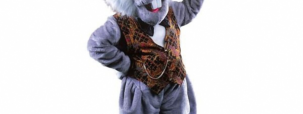 How to Choose the Right Holiday Mascot Costume