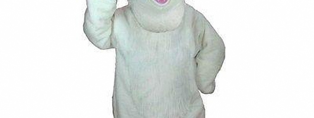 The Evolution of Fruit Mascots in Promotional Campaigns