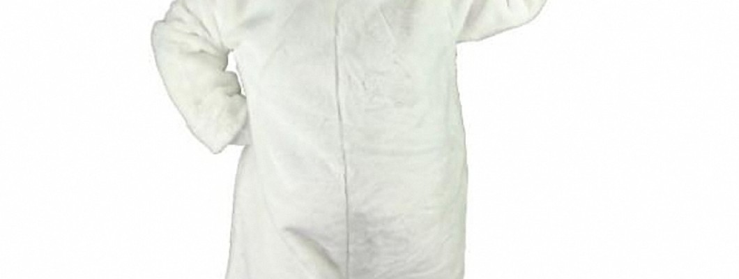 Where to Buy Affordable and High-Quality Pig Mascot Costumes