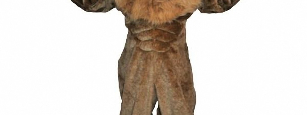 Fruit Mascot Costumes That Will Make You Smile