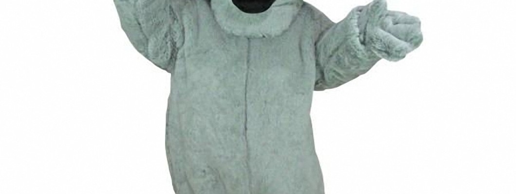 Customizing Your Chicken Mascot Costume: Tips and Tricks