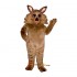Kody Koyote Mascot Costume Cosplay