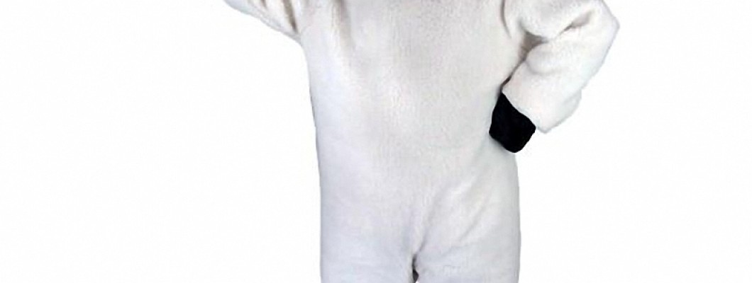 Bird Mascot Costumes: A Marketing Tool for Businesses