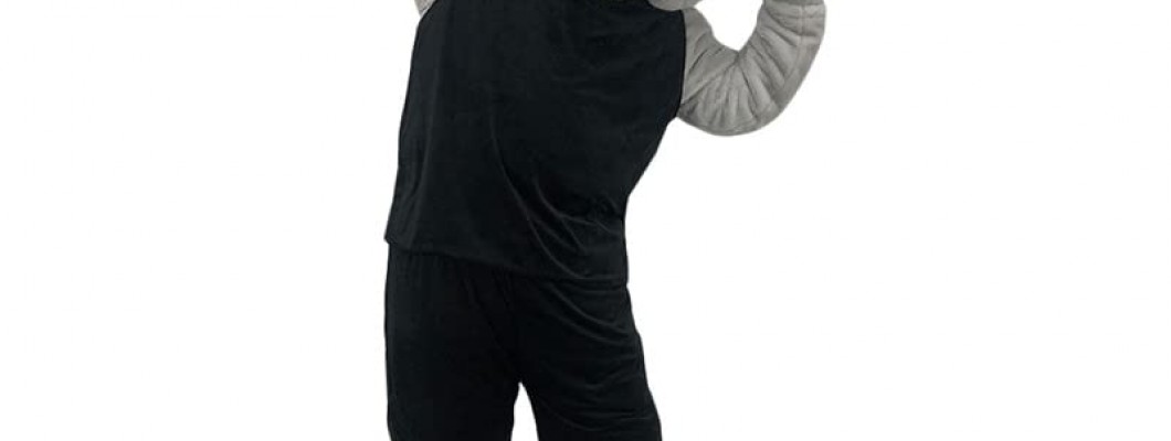 Interview with a Mascot Performer: Insights into Wearing a Horse Costume