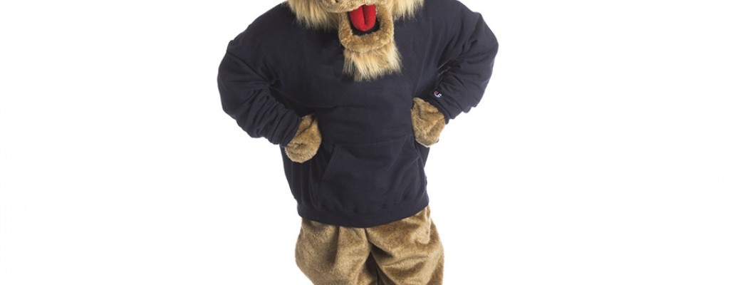 The Environmental Impact of Eagle Mascot Costume Production