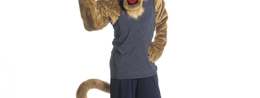 Community Events: The Role of Elephant Mascot Costumes