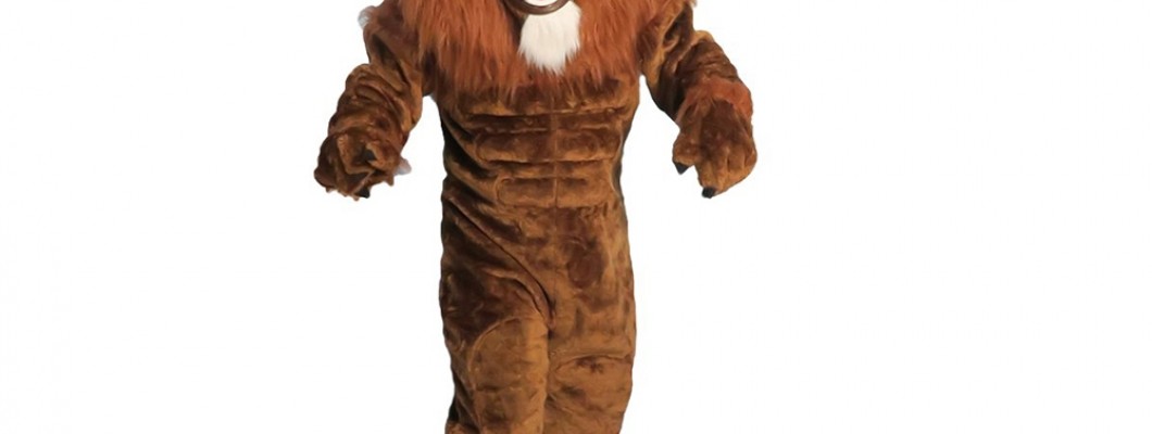 How to Build a Bird Mascot Costume on a Budget