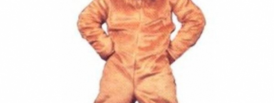 A Look at the Most Popular Chipmunk Mascot Costume Styles