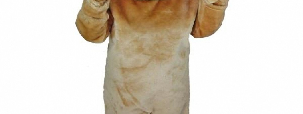 Finding the Best Deals on Mascot Costumes