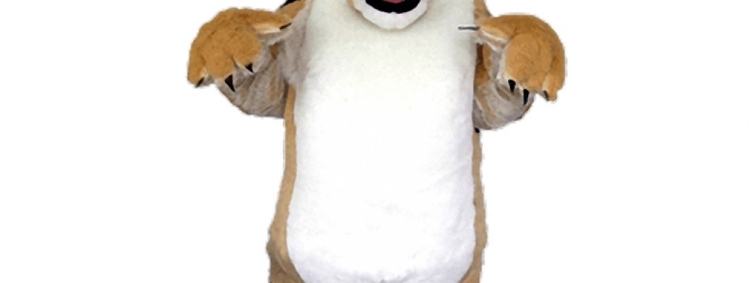 Character Mascot Costumes: Adding Flair to Festivals