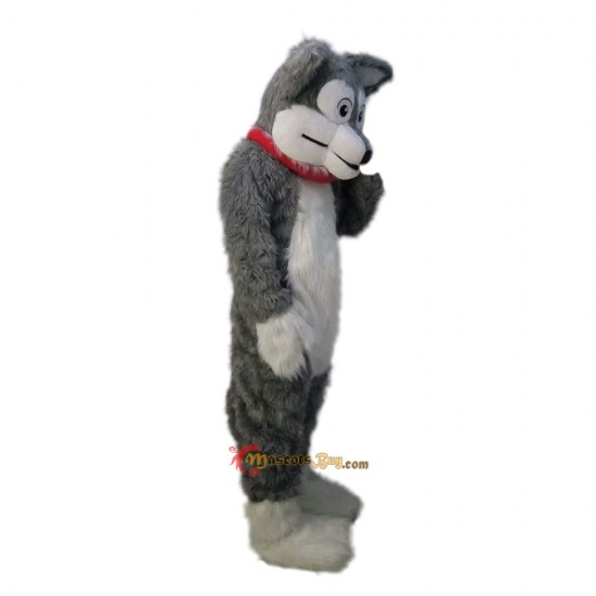 Long-Haired Grey Husky Wolf Mascot Costume Cosplay