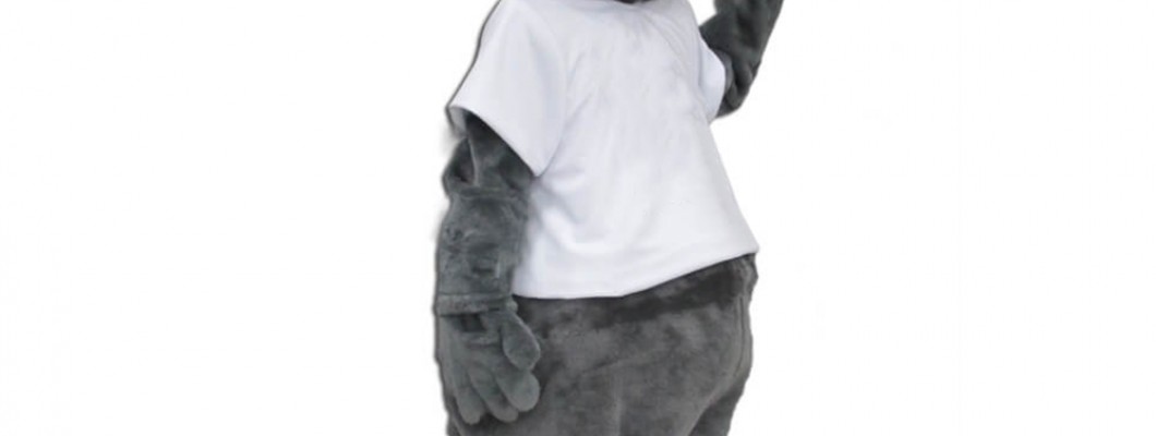 Pig Mascot Costumes in Video Games: Fun Facts and Figures