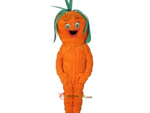 How to Clean and Maintain Different Types of Mascot Costumes