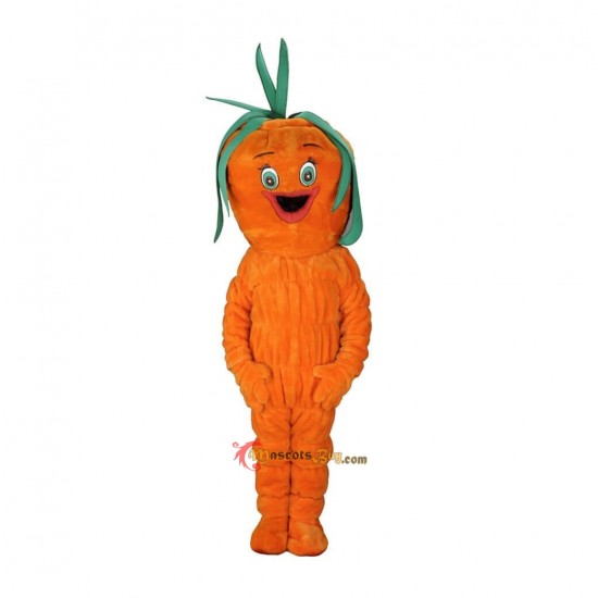 Lovely Carrot Mascot Costume Cosplay