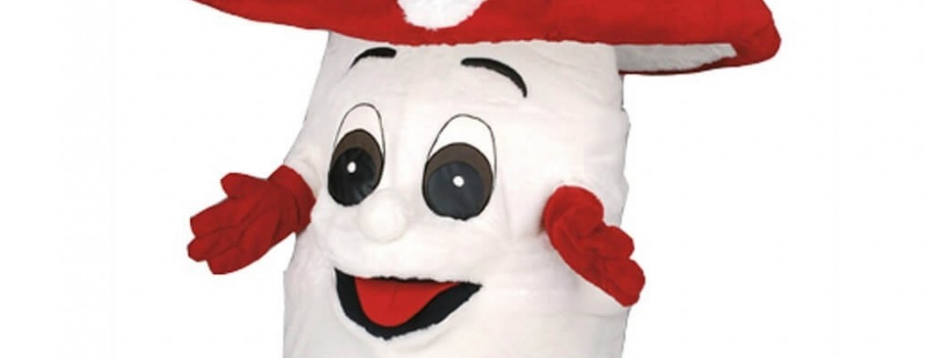 Customizing Your School Mascot Costume to Reflect School Values