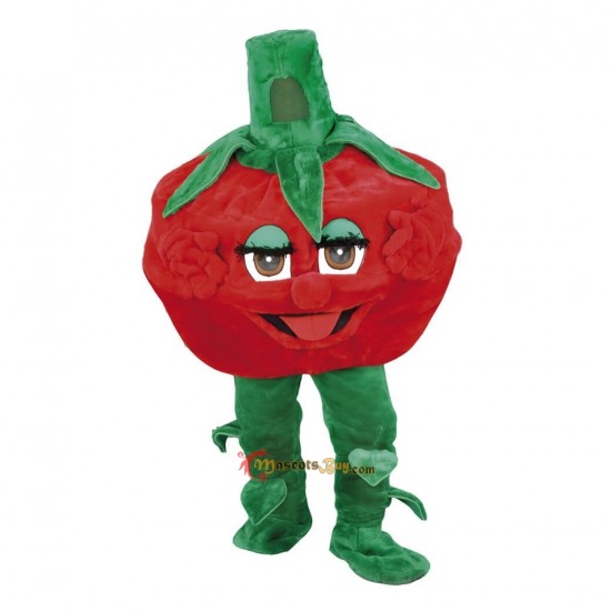 Lovely Raspberry Mascot Costume Cosplay