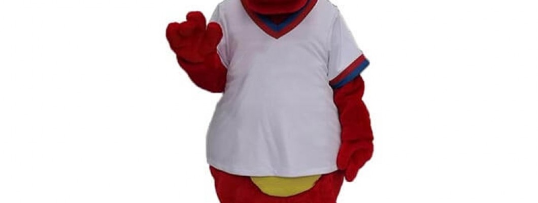 Buggy Brilliance: Lightweight Materials for Comfortable Mascot Wear