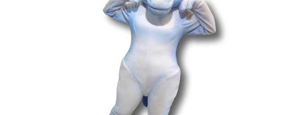 The Evolution of Fox Mascot Costumes: From Traditional to Modern Styles