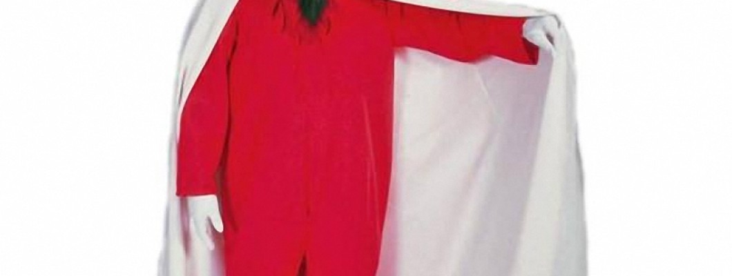 How to Care for Your Reindeer Mascot Costume