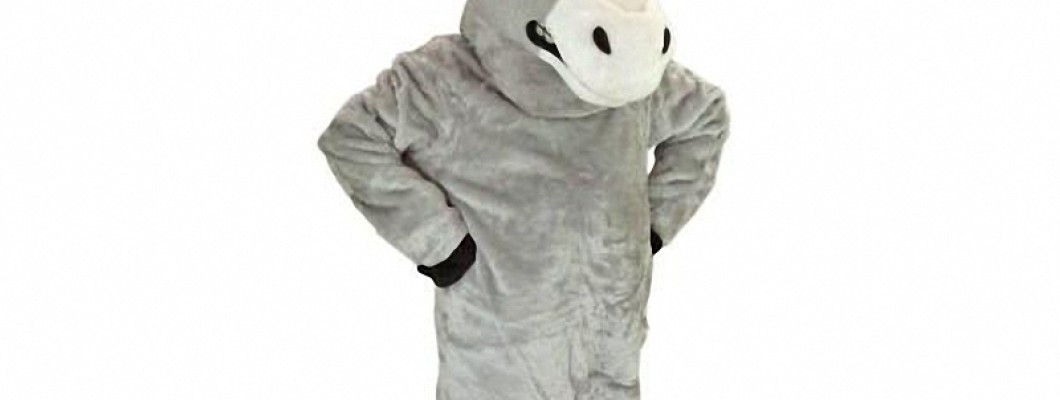 Elephant Mascot Costume Rental Services: Pros and Cons