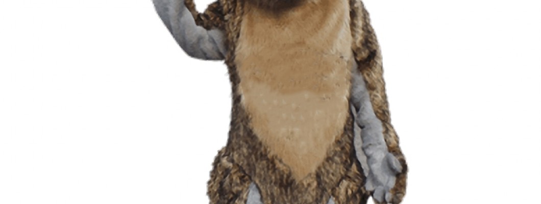 How to Properly Store Your Tiger Mascot Costume