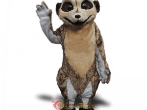 How to Properly Store Your Tiger Mascot Costume