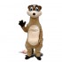 Meerkat Mascot Costume Cosplay