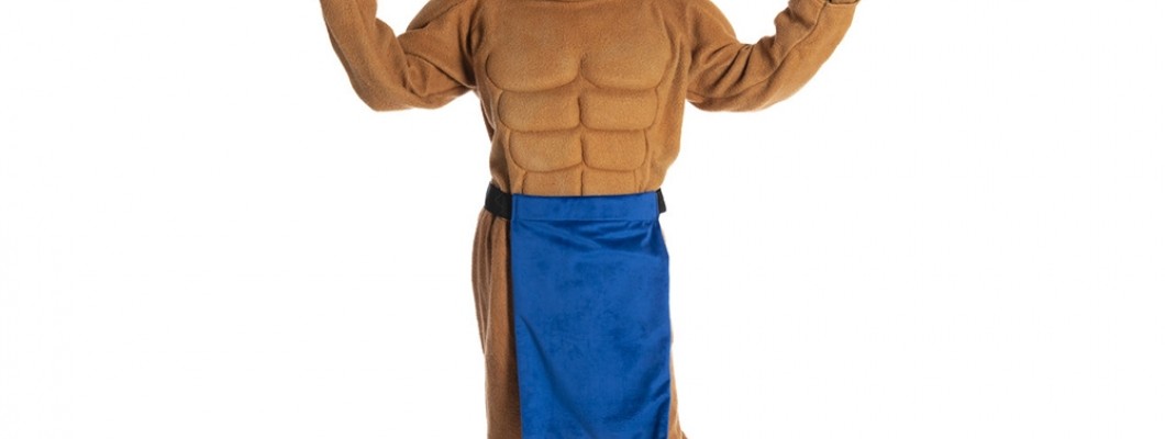 Reindeers Mascot Costumes: A Tradition Worth Keeping