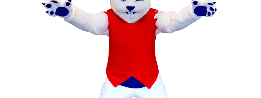Tips for Cleaning and Storing Your Reindeer Mascot Costume