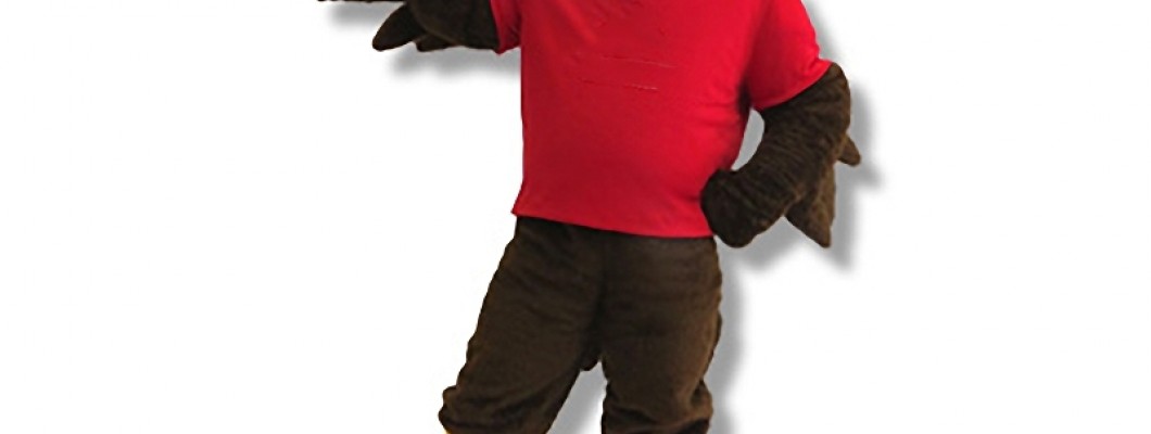 How to Design Your Own Monkey Mascot Costume from Scratch