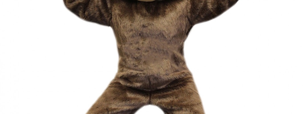 Affordable Mascot Costumes: Enhancing Your Event on a Budget