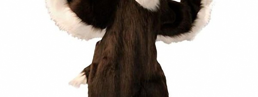 How to Design the Most Adorable Squirrel Mascot Costume